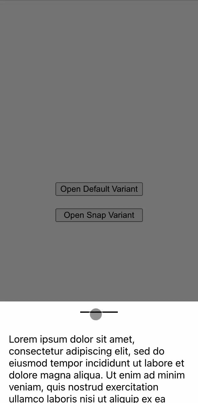 Solid Bottomsheet snap variant resting at a partial-height snap point